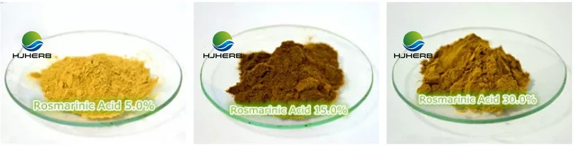 Rosmarinic acid 