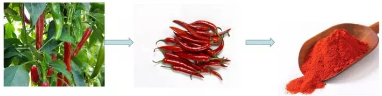 chili pepper oil extract capsaicin price