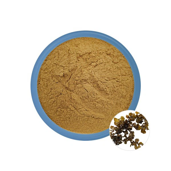 Seaweed-polysaccharide