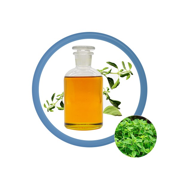 Carvacrol-oregano-oil