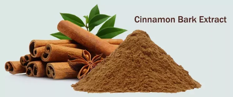 cinnamon extract