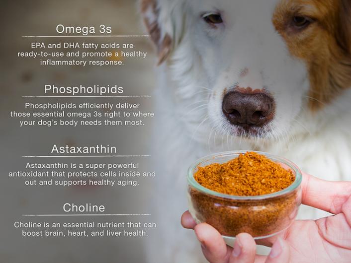 antarctic krill meal powder price