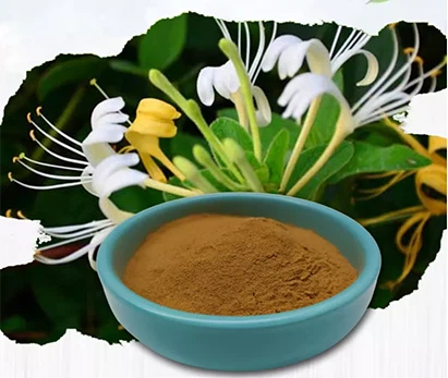 Honeysuckle flower extract price