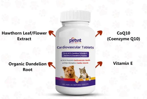 Dandelion extract benefits Dandelion extract benefits