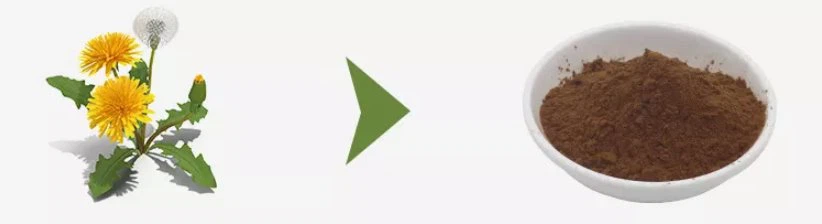 Best dandelion extract powder by HPLC Best dandelion extract powder by HPLC