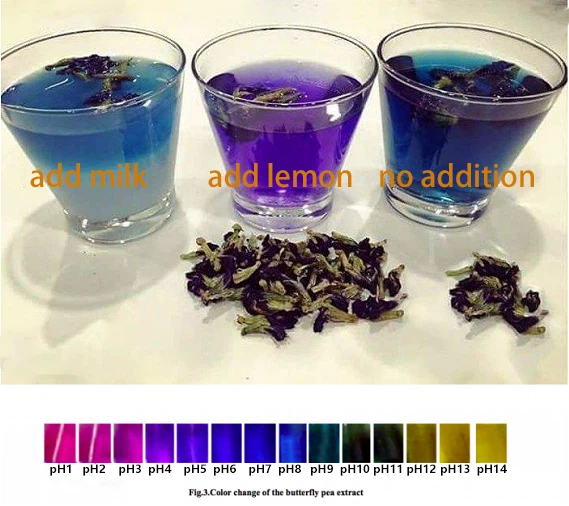butterfly pea pollen powder price