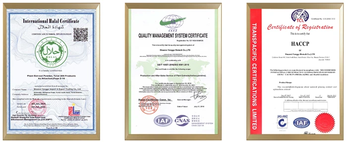 product-700-287L-carnitine powder manufacturers product-700-287L-carnitine powder manufacturers