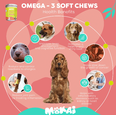 Benefits of Omega 3 for Dogs Benefits of Omega 3 for Dogs