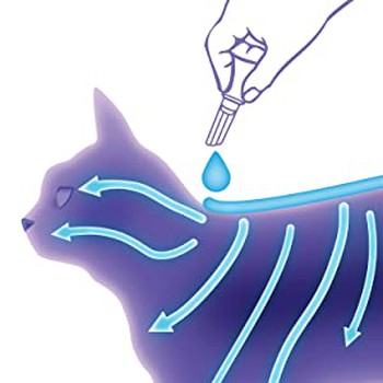 Is pyrethrin safe for cats? Is pyrethrin safe for cats?
