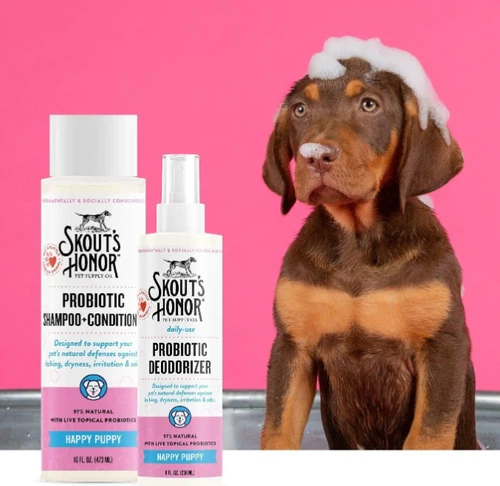 Honeysuckle Powder in Pet Care Honeysuckle Powder in Pet Care