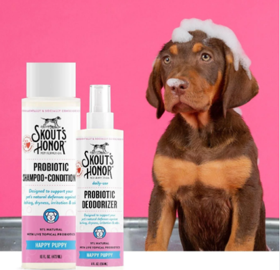 Yucca Powder Application Yucca Powder Application