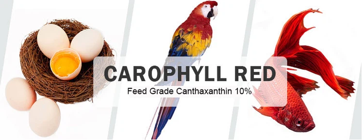 Canthaxanthin powder for sale Canthaxanthin powder for sale