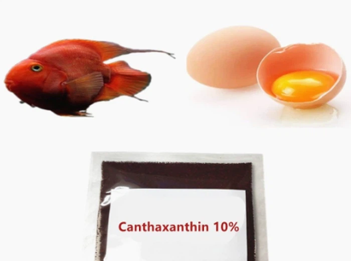 Carophyll red color canthaxanthin powder Carophyll red color canthaxanthin powder