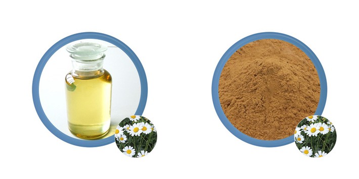 product-1-1 Pyrethrum Extract For Sale