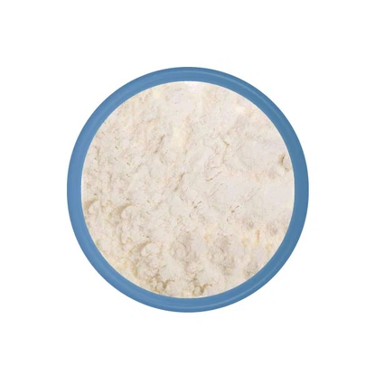 Probiotic powder bulk Probiotic powder bulk