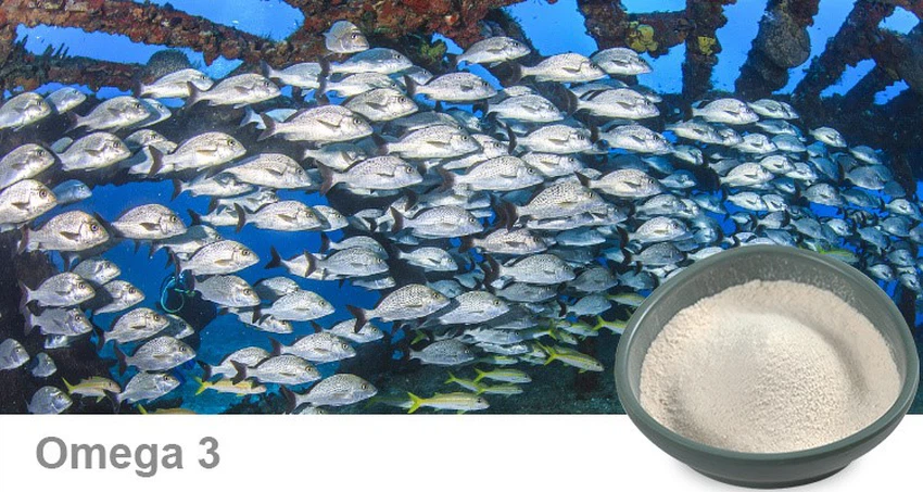Omega 3 Bulk Powder Omega 3 Bulk Powder