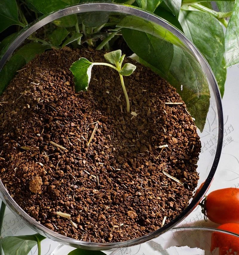 Tea Seed Meal manufacturer Tea Seed Meal manufacturer