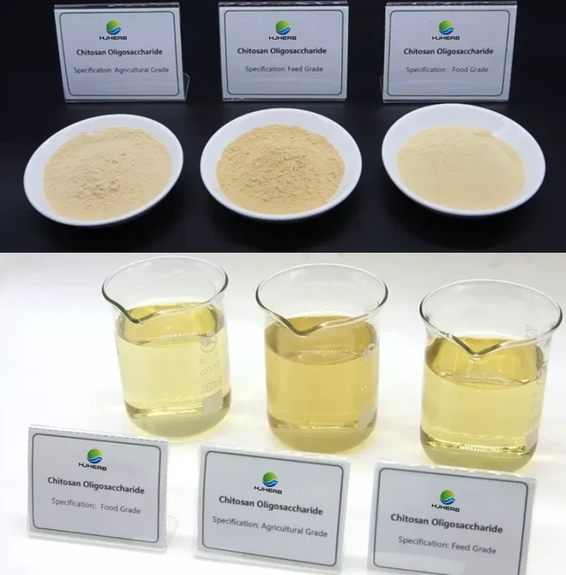 oligochitosan oligochitosan