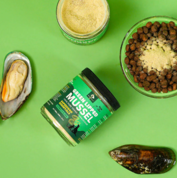 Best green lipped mussel powder bulk Best green lipped mussel powder bulk