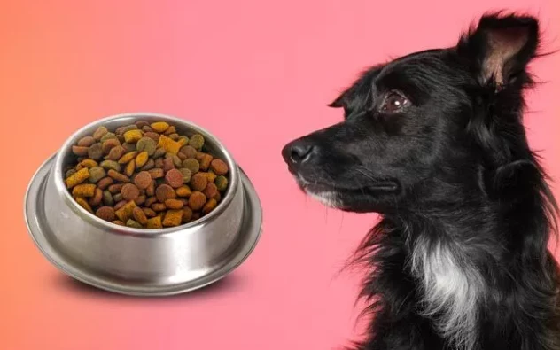 Slippery elm bark powder for dogs dosage