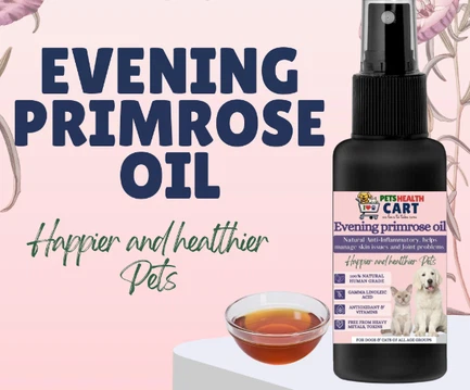 Evening Primrose Oil Evening Primrose Oil