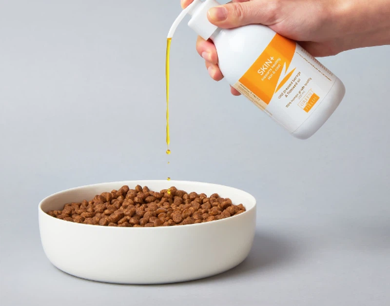 Can Dogs have Borage Oil Dosage Can Dogs have Borage Oil Dosage