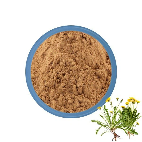 Dandelion Extract