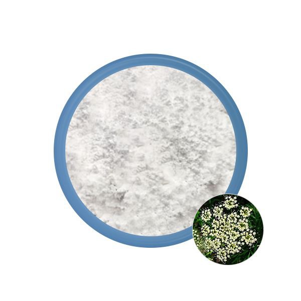 Cnidium Seed Extract