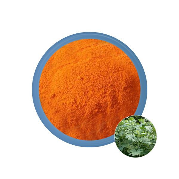 Macleaya Cordata Extract