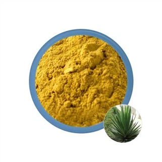 Yucca Schidigera Extract