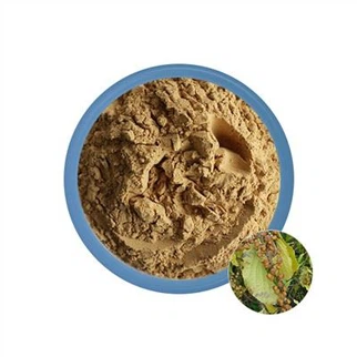 Celastrus Angulatus Extract