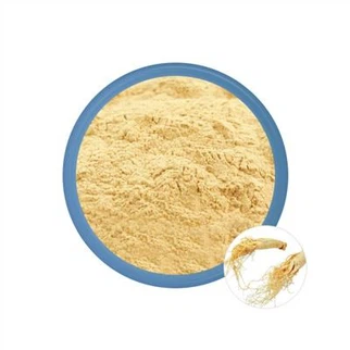 Ginseng Extract Powder