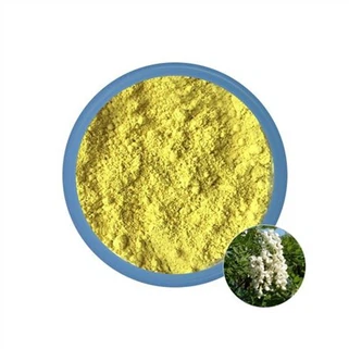 Quercetin Extract
