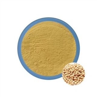 Soy Isoflavones Powder