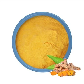 Turmeric Curcumin Extract