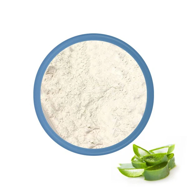Aloe Vera Powder Wholesale