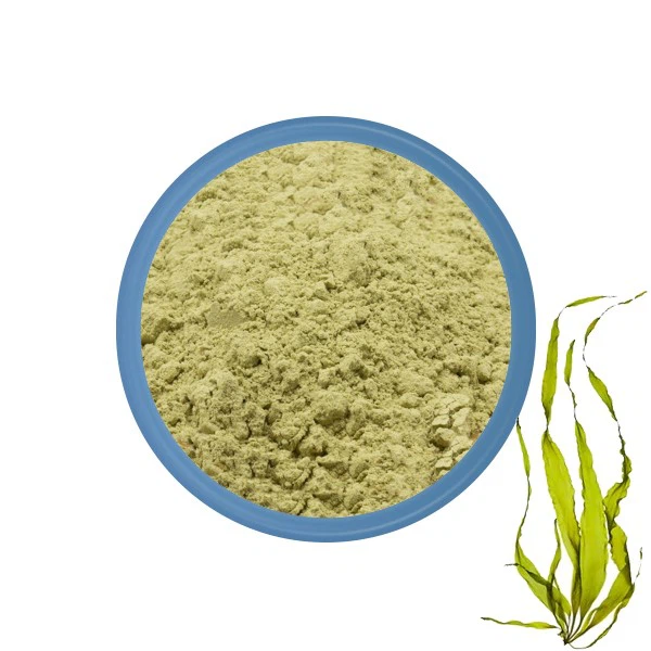 Organic Kelp Powder