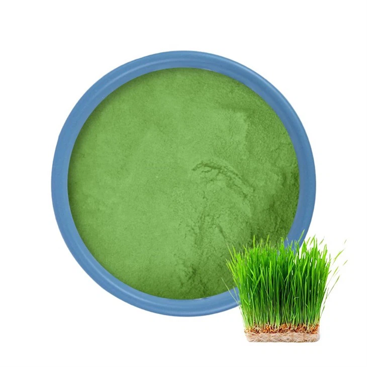 Wheatgrass Powder