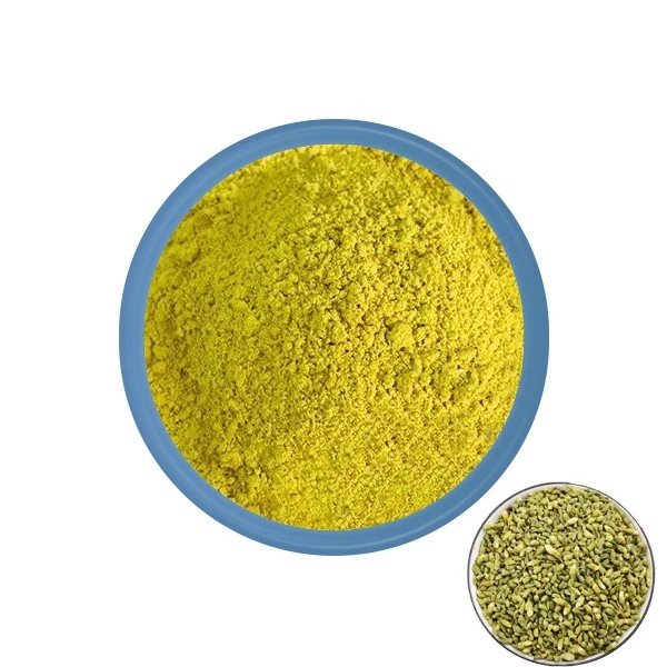 Buy Quercetin Dihydrate Powder