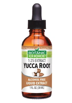 Can Dogs Eat Yucca Root?