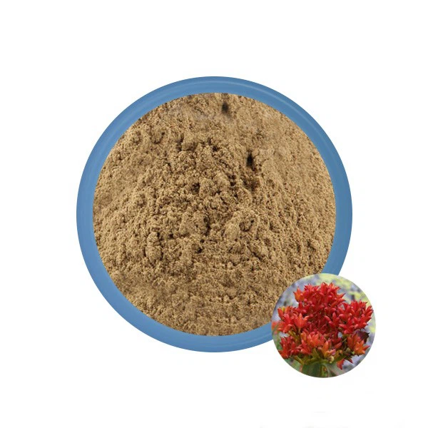 Rhodiola Rosea Bulk Powder