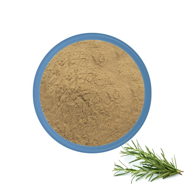 Rosemary Leaf Extract Powder