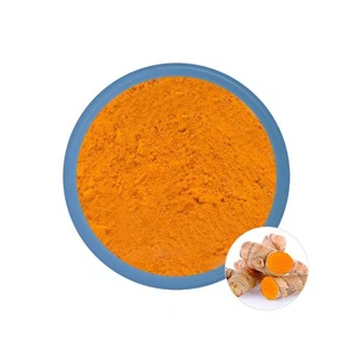 Bulk Curcumin Powder