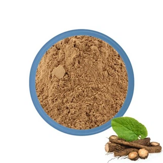 Burdock Root Powder Organic