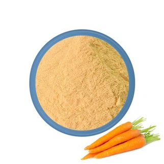 Carrot Juice Powder Bulk