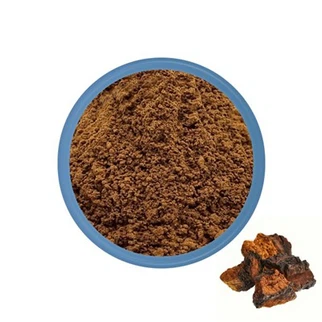 Chaga Mushroom Powder Bulk