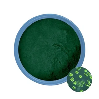 Chlorella Bulk Powder