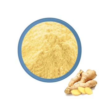 Ginger Root Extract Powder