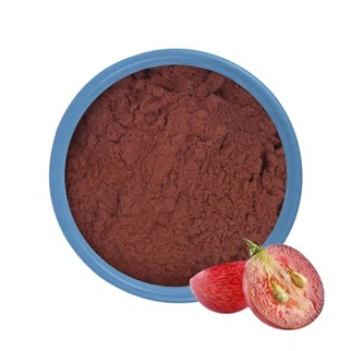 Bulk Grape Seed Extract
