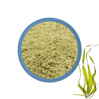 Kelp Powder